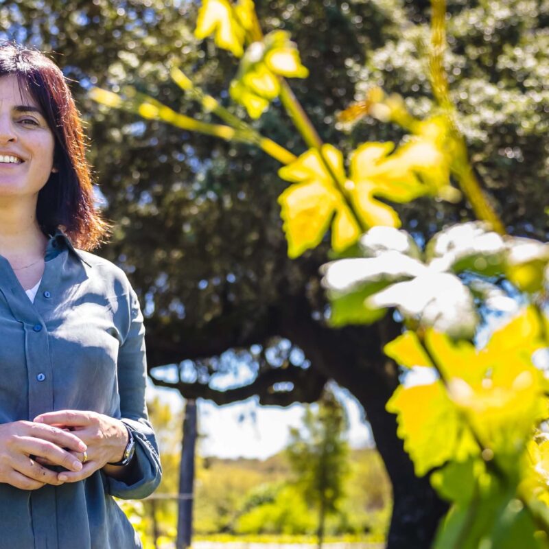 O olhar da enóloga Sandra Alves sobre os vinhos disruptivos do Alentejo