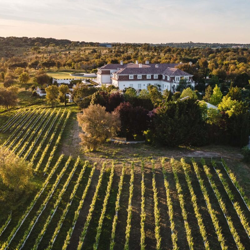 Sommeliers de Restaurantes com Estrelas Michelin Visitaram Monte das Herdades