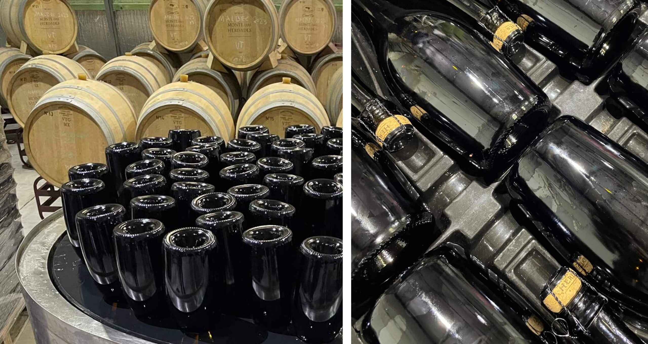 O processo de degorgement: a preparação do nosso próximo espumante Brut Nature